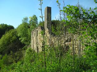 Teil der Klosterruine