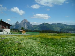 Fr�hlingswiese in Stoos